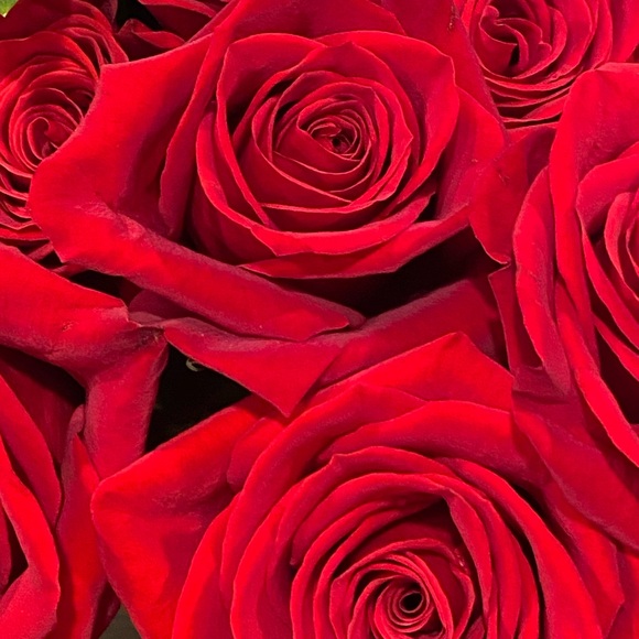 Meet your Posher, Ashley - Picture 1 of 1